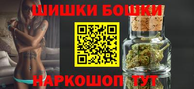 индика Обнинск