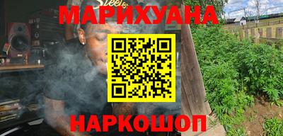 крисы Новозыбков