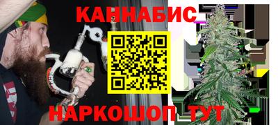 крисы Новозыбков