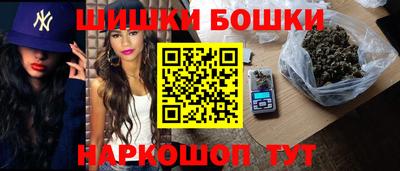 индика Обнинск