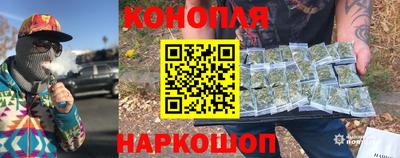 крисы Новозыбков