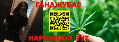 крисы Новозыбков