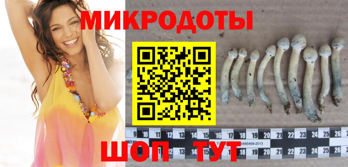 Сафоново  Галлюциногенные грибы GOLDEN TEACHER  купить наркоту  Псилоцибиновые грибы мицелий  Вход с VPN 