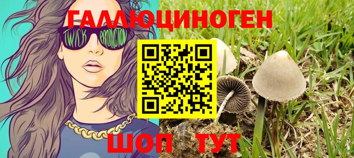 Галлюциногенные грибы Psilocybine cubensis Сафоново